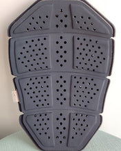 Protector dorsal dainese